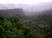 El Yunque Rain Forest-Puerto Rico